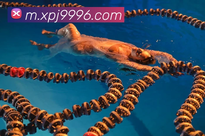 对战数据统计